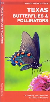 Texas Butterflies & Pollinators