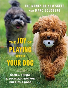 The Joy of Playing with Your Dog