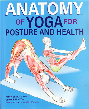 Anatomy of Yoga