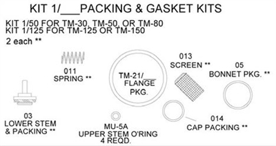 Leonard Kit 1/125 Packings and Gaskets Kit