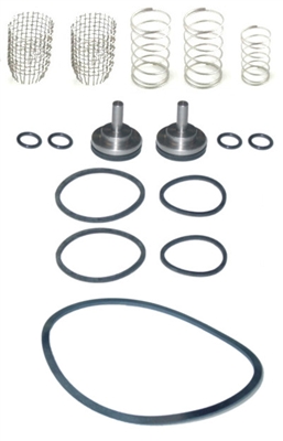 Leonard Kit 1/50 Packings and Gaskets Kit