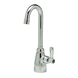 Zurn Z825B1-XL AquaSpec Laboratory Faucet Single Hole