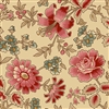 Cream Wild Rose