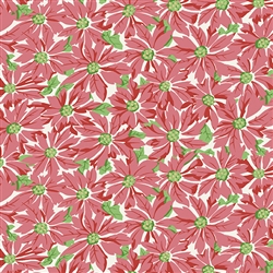 Taffy Pink Poinsettia