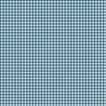 #9092-B1 French Chateau Sly Blue Checks