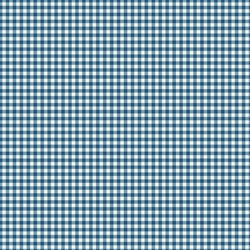 #9092-B1 French Chateau Sly Blue Checks