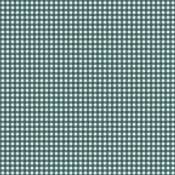 #9092-T Beehive Teal Riviera Checks