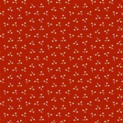 Belle Rose Star Flower
