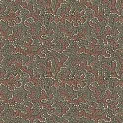 Northern Stars Quilt Backing Fabric #814-C (5-1/4 yds)