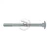 Rounded Head Screw M10