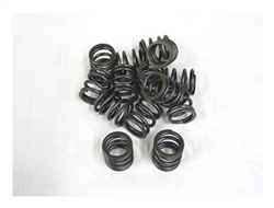 Dyno Animal Valve Spring (Hvy Duty)