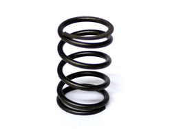 Clone Dyno A.K.R.A. BUILDER PREPARED Clone Valve Spring (22 lbs)