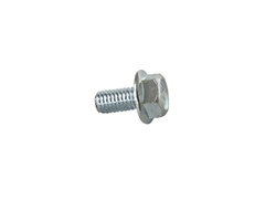 Blower Housing Flange Bolt (6x12 mm)