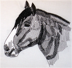 Shire Horse Head