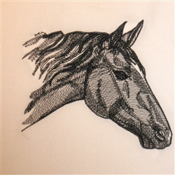 Quarter Horse Head