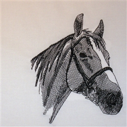 Quarter Horse Head with Halter