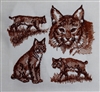 Animal Sketch Single - Bobcat
