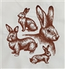 Animal Sketch Single - Rabbit