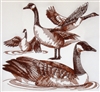 Animal Sketch Single - Canadian Goose