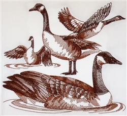 Animal Sketch Single - Canadian Goose