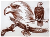 Animal Sketch Single - Eagle