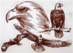 Animal Sketch Single - Eagle