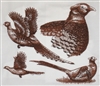 Animal Sketch Single - Pheasant