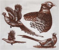 Animal Sketch Single - Pheasant