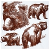 Animal Sketch Single - Bear