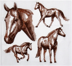 Horses - American Paint