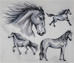 Horses - Friesian