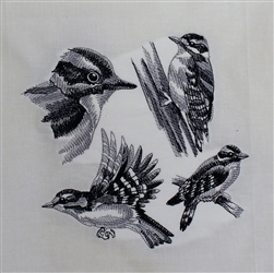 Woodpecker - Downy