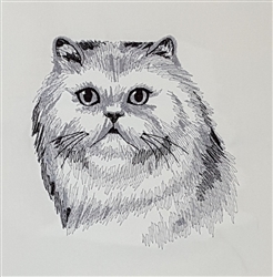 Cat - Persian Head