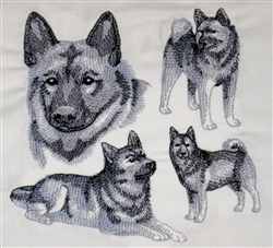 Dogs - Norwegian Elkhound