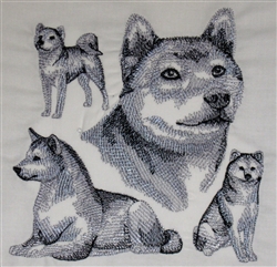 Dogs - Shiba Inu