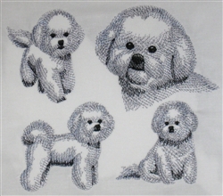 Dogs - Bichon Frise