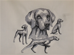 Dogs - Weimaraner