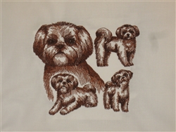 Dogs - Shih Tzu