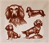 Dogs - Long Haired Wiener