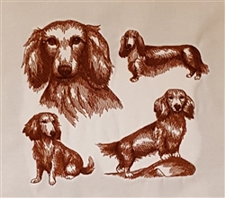 Dogs - Long Haired Wiener