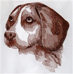 Dogs - Beagle Head