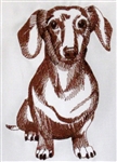 Dogs -  Single Dachshund Body Sitting