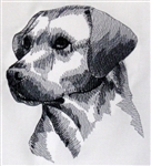 Dogs -  Labrador Retriever Head