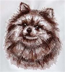 Dogs -  Pomeranian Head