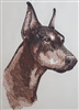 Dogs -  Doberman Head with Cropped Ears