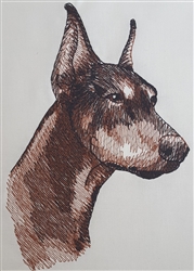 Dogs -  Doberman Head with Cropped Ears