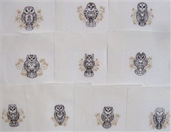 Owls with Scrolls