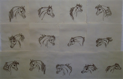 Arabian Horse Heads