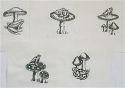 Frogs with Mushrooms