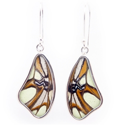 Butterfly Wing Shaped Earrings